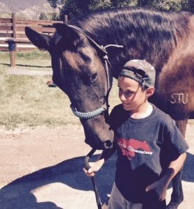 New Beginnings Program Pairing a Boy with One of the Rescue Horses